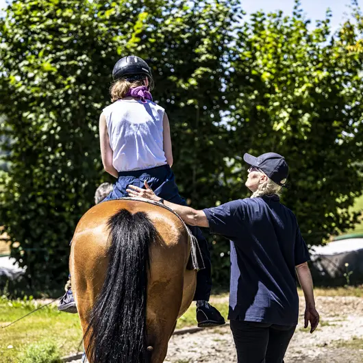 Hippotherapie Pferd mit Menschen